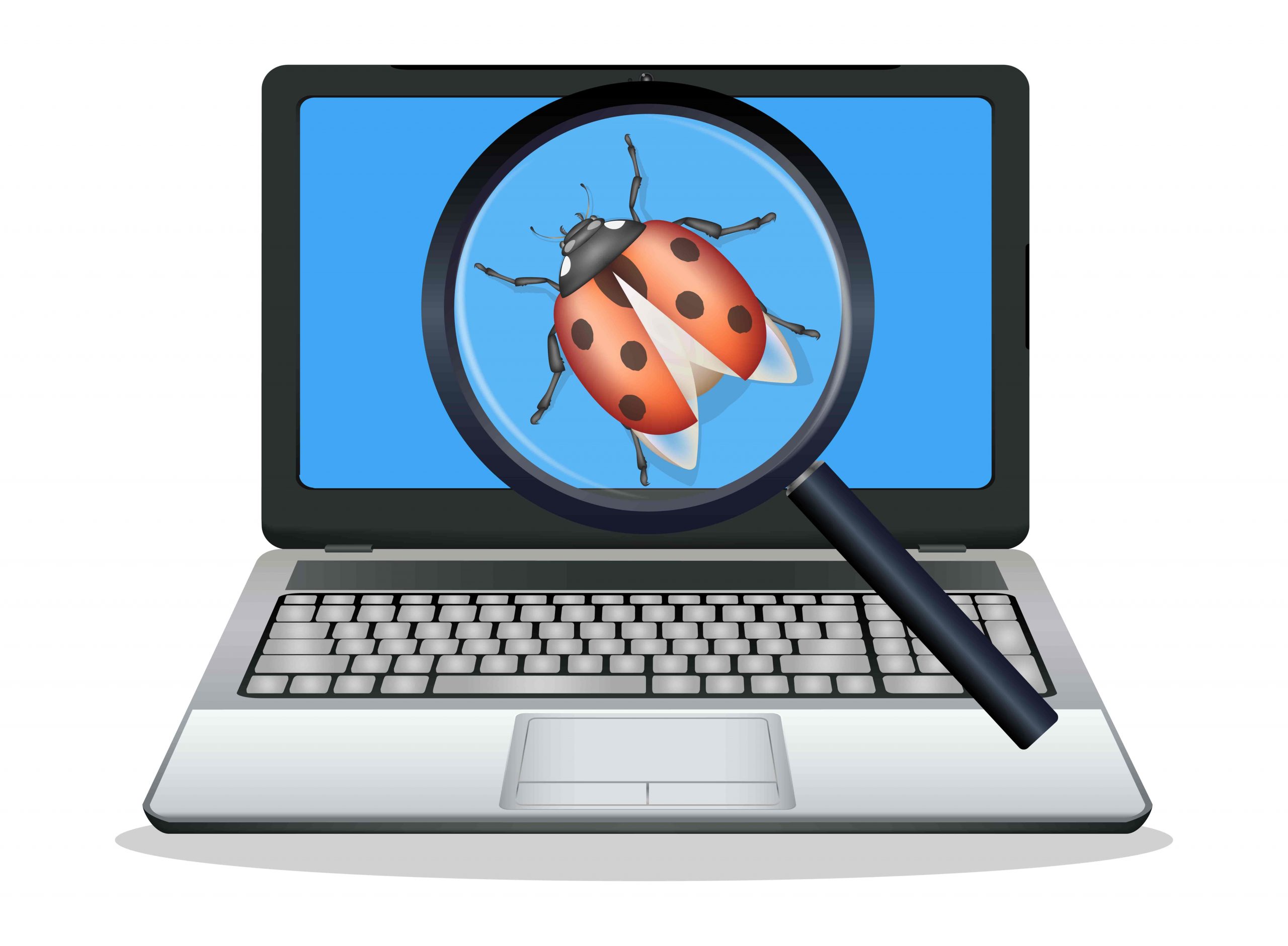 Bug Tracking